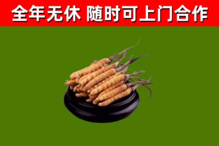 临潭烟酒回收冬虫夏草.jpg