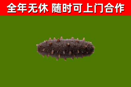 临潭烟酒回收干海参.jpg